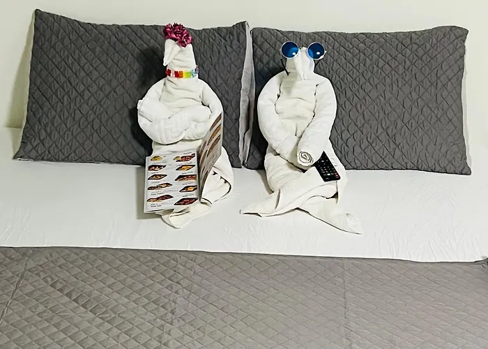 Hotel Casa De Cultura House Constanţa