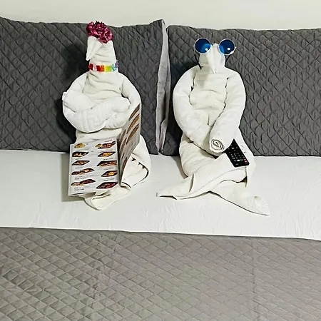 Hotel Casa De Cultura House Constanţa